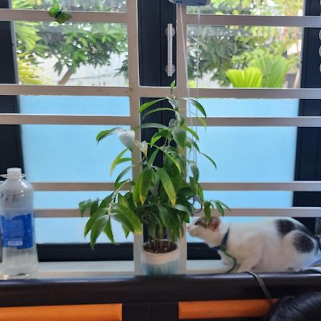 Sena Home 2Nd*Near Danang Han River*Dragon Bridge Екстериор снимка