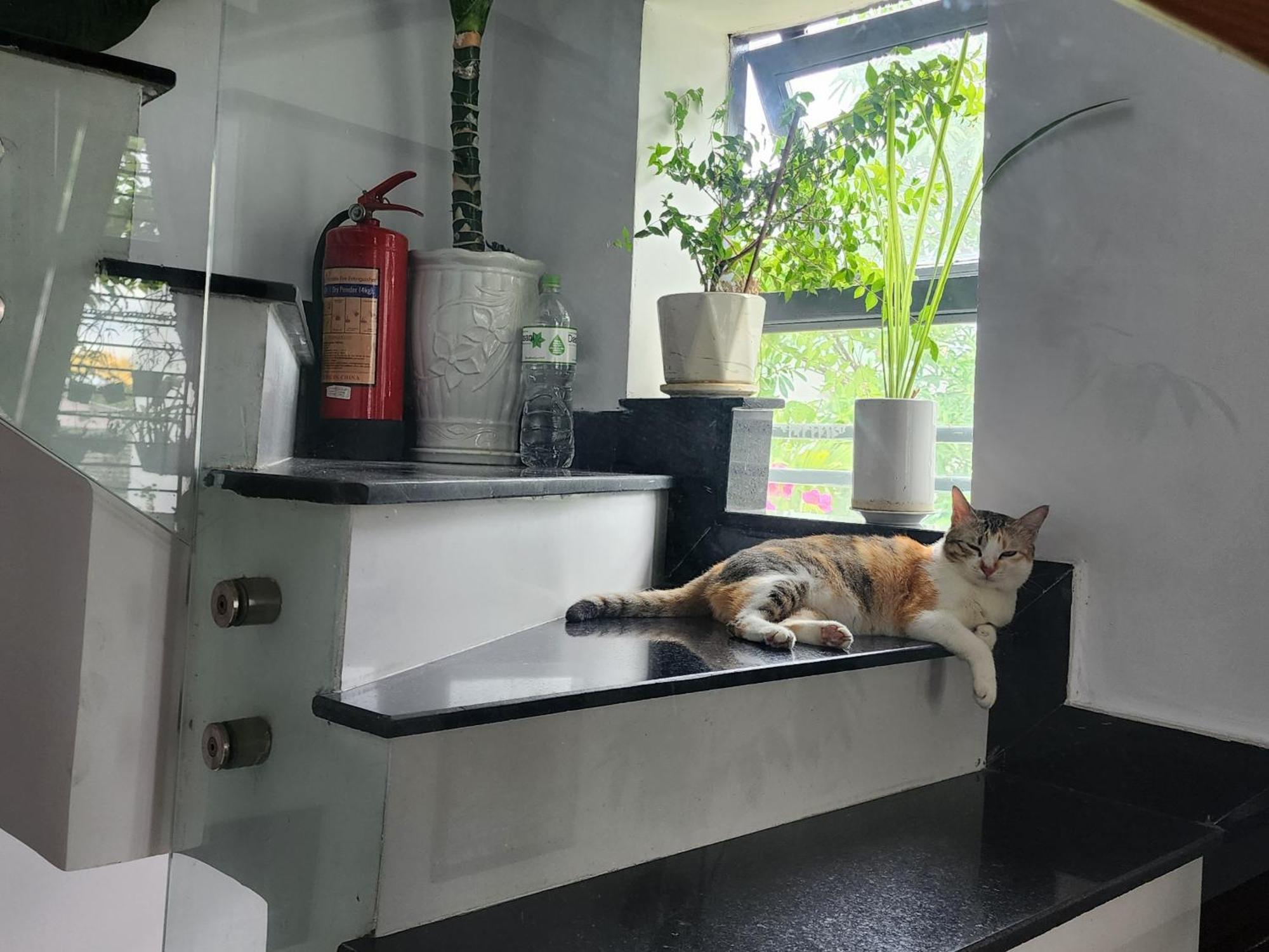 Sena Home 2Nd*Near Danang Han River*Dragon Bridge Екстериор снимка